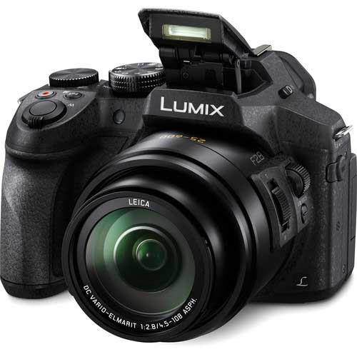 دوربین دیجیتال لومیکس FZ300
