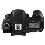 بدنه دوربین عکاسی کانن Canon EOS 80D Body کارکرده