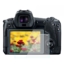 محافظ صفحه نمایش دوربین کانن Canon EOS R