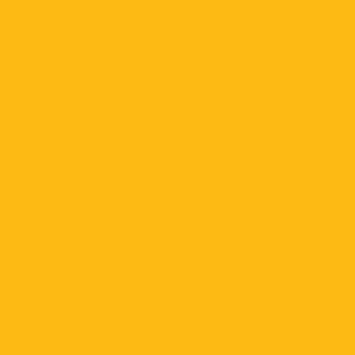 فون کاغذی بکگراند زرد Savage Background Paper Seamless #71 Deep Yellow
