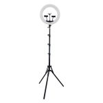 رینگ لایت جیماری مدل Ring Light Jmary FM-21R به همراه پایه 803