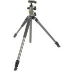 سه پایه ونگارد مدل Vanguard Alta Pro 2+ 263AB100