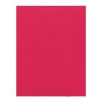 فون شطرنجی عکاسی صورتی 3×2 Backdrop Pink
