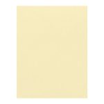 فون شطرنجی عکاسی کرم 3×5 Backdrop Cream
