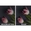 فیلتر لنز دیفیوزر نیسی NiSi Allure Soft