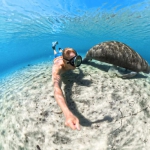 قاب ضدآب اینستا Insta360 Invisible Dive Case for X5