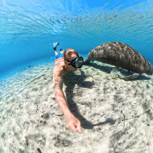 قاب ضدآب اینستا Insta360 Invisible Dive Case for X5