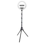 رینگ لایت سی یرا Sierra SR-488 A Ring Light همراه با پایه