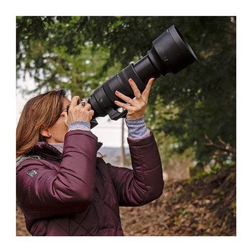 لنز سیگما Sigma 60-600mm f4.5-6.3 DG DN OS Sports Sony E