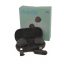 میکروفون بی سیم یقه ای اراروکس Araroxn Ai Mic Wireless Microphone