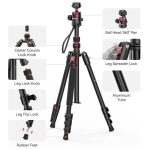 سه پایه وتک پایه اولانزی Ulanzi TT31 Quick Release Tripod & Monopoed