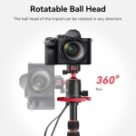 سه پایه وتک پایه اولانزی Ulanzi TT31 Quick Release Tripod & Monopoed
